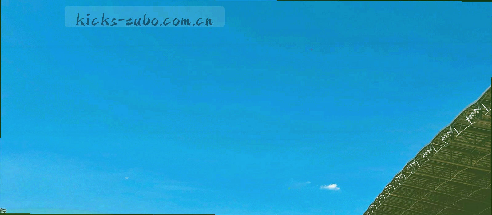 夜场看台上举着围巾的观众逆光剪影，右侧留出空白